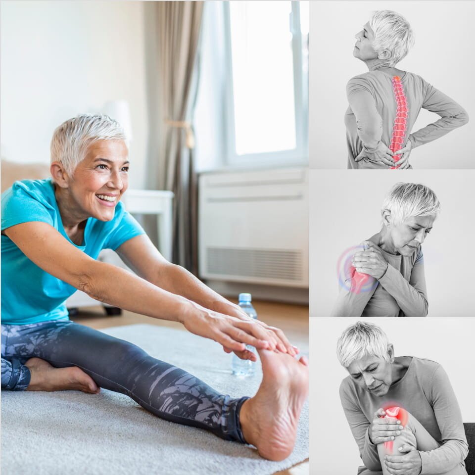 Rosabella Moringa image